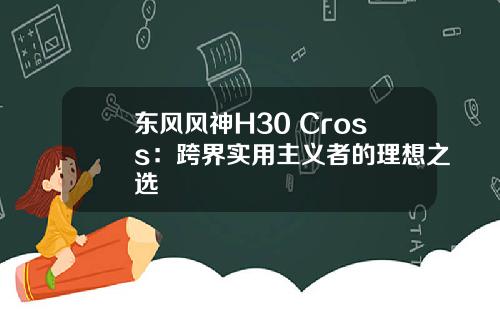 东风风神H30 Cross：跨界实用主义者的理想之选