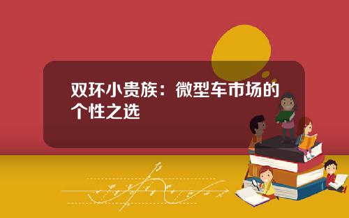 双环小贵族：微型车市场的个性之选