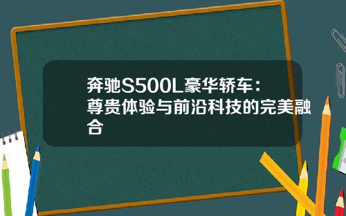奔驰S500L豪华轿车：尊贵体验与前沿科技的完美融合