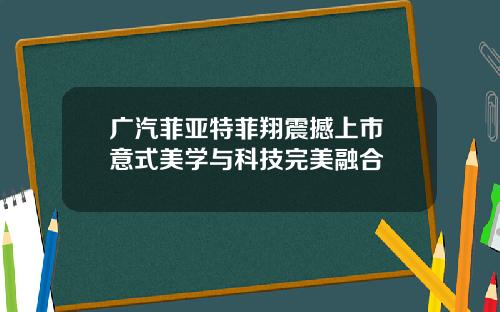 广汽菲亚特菲翔震撼上市 意式美学与科技完美融合