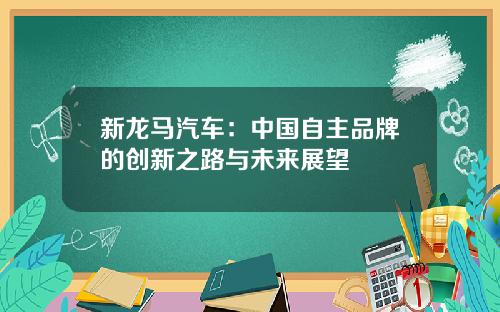 新龙马汽车:中国自主品牌的创新之路与未来展望
