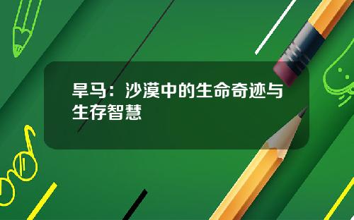 旱马：沙漠中的生命奇迹与生存智慧
