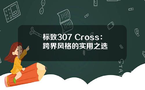 标致307 Cross：跨界风格的实用之选