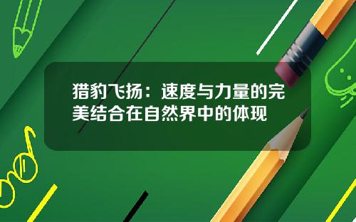 猎豹飞扬:速度与力量的完美结合在自然界中的体现