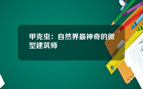 甲克虫：自然界最神奇的微型建筑师