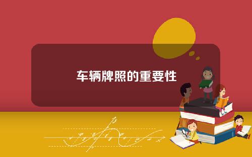 车辆牌照的重要性