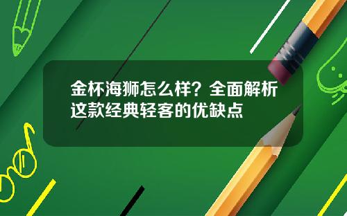 金杯海狮怎么样？全面解析这款经典轻客的优缺点