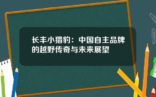 长丰小猎豹：中国自主品牌的越野传奇与未来展望