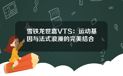 雪铁龙世嘉VTS：运动基因与法式浪漫的完美结合