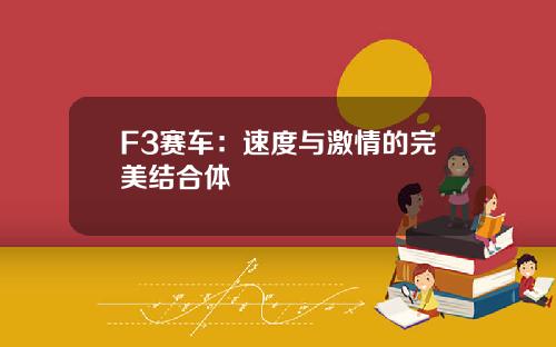 F3赛车：速度与激情的完美结合体